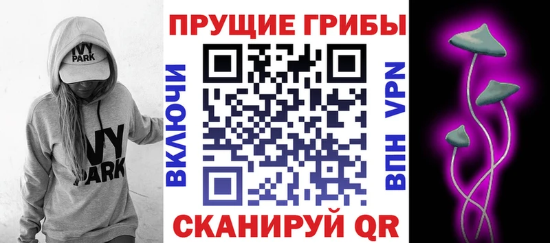 Псилоцибиновые грибы мухоморы  Абакан 